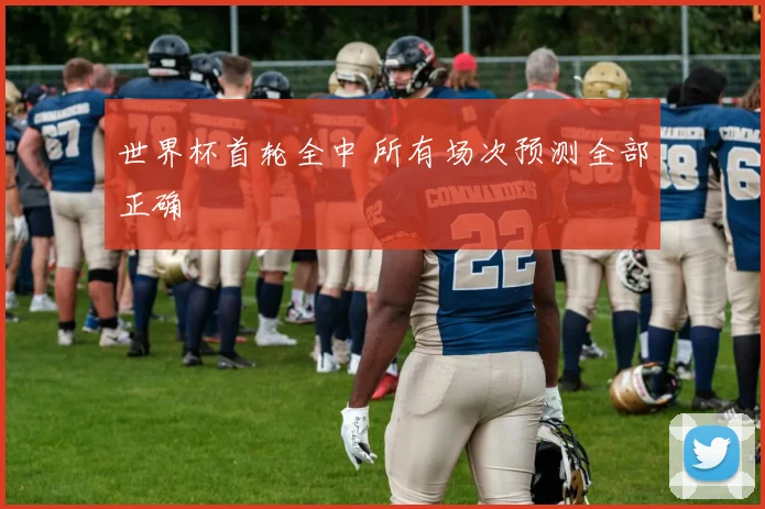 世界杯首轮全中 所有场次预测全部正确