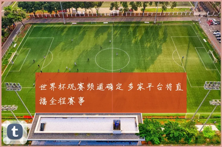 世界杯观赛频道确定 多家平台将直播全程赛事