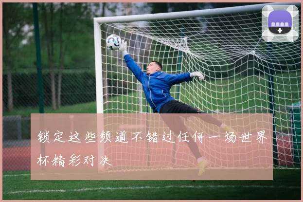锁定这些频道不错过任何一场世界杯精彩对决