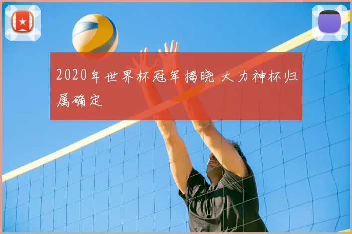 2020年世界杯冠军揭晓 大力神杯归属确定