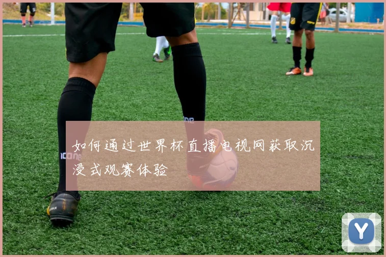 如何通过世界杯直播电视网获取沉浸式观赛体验