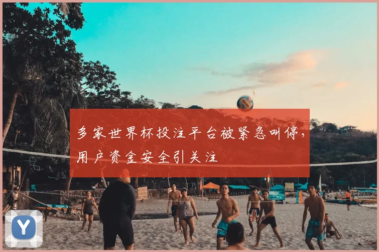 多家世界杯投注平台被紧急叫停,用户资金安全引关注