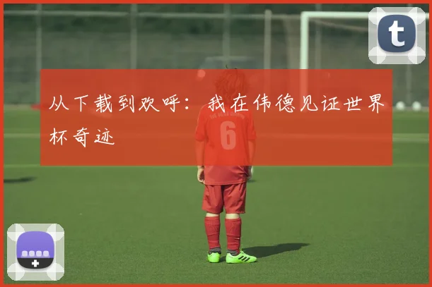 从下载到欢呼:我在伟德见证世界杯奇迹