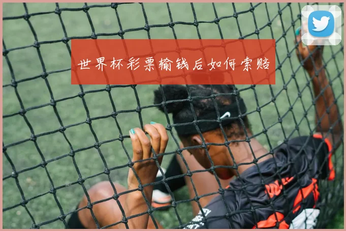 世界杯彩票输钱后如何索赔