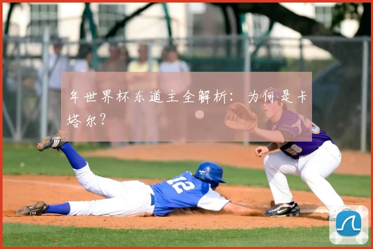 年世界杯东道主全解析：为何是卡塔尔？