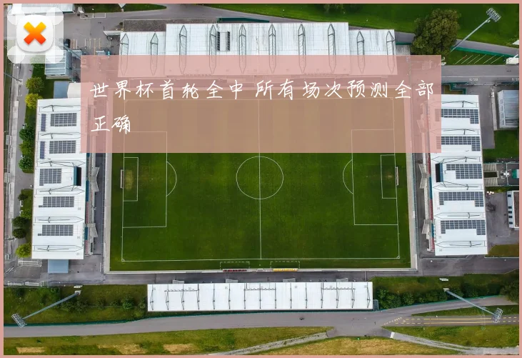 世界杯首轮全中 所有场次预测全部正确
