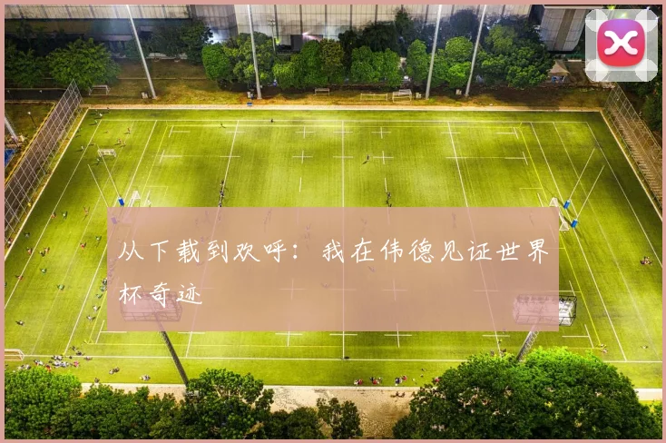 从下载到欢呼：我在伟德见证世界杯奇迹