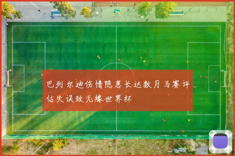 巴列尔迪伤情隐患长达数月马赛评估失误致无缘世界杯
