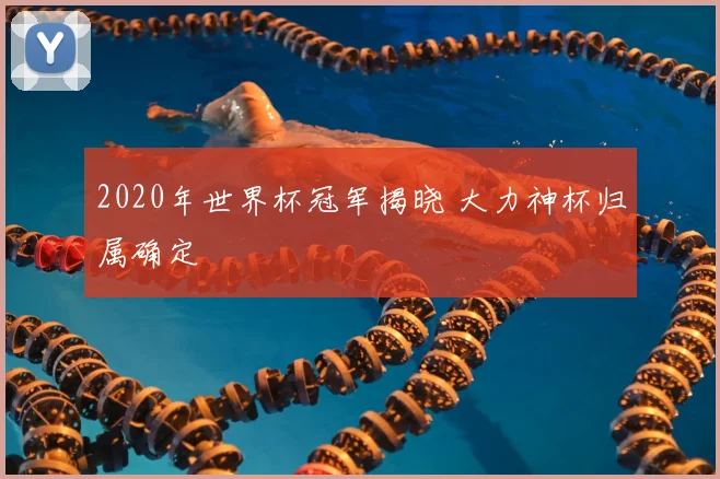 2020年世界杯冠军揭晓 大力神杯归属确定