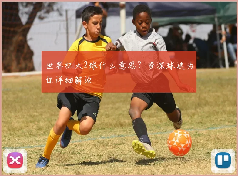 世界杯大2球什么意思？资深球迷为你详细解读