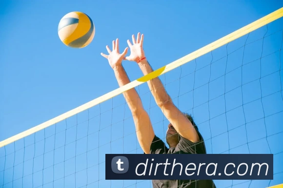 华体会体育平台生态图